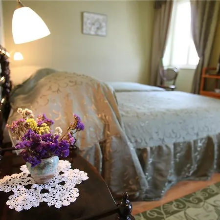 莫雷蒂别墅 招待所 特罗吉尔